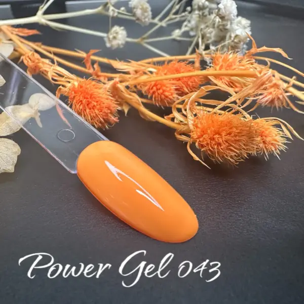 ⁦לק ג'ל Power Gel 043⁩ – תמונה ⁦3⁩