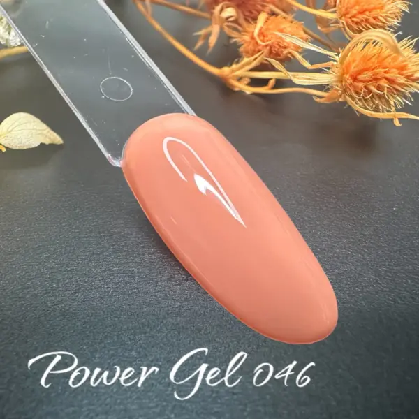 ⁦לק ג'ל Power Gel 046⁩ – תמונה ⁦2⁩
