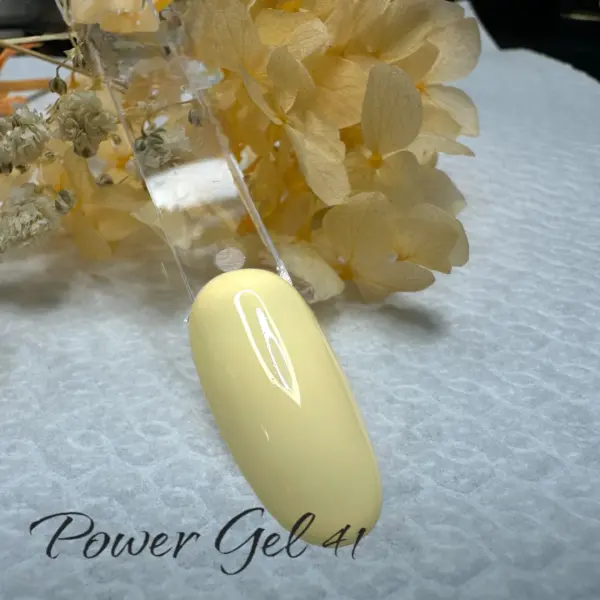 ⁦לק ג'ל Power Gel 041⁩ – תמונה ⁦3⁩