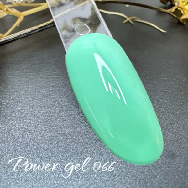 ⁦לק ג'ל Power Gel 066⁩ – תמונה ⁦3⁩