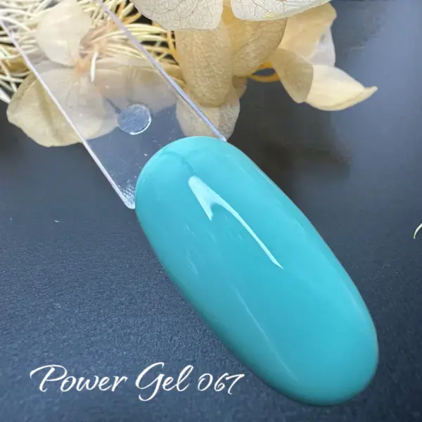 ⁦לק ג'ל Power Gel 067⁩ – תמונה ⁦3⁩