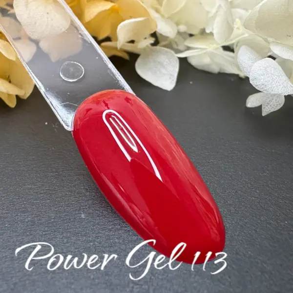 ⁦לק ג'ל Power Gel 113⁩ – תמונה ⁦2⁩