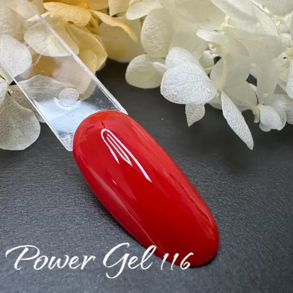 ⁦לק ג'ל Power Gel 116⁩ – תמונה ⁦2⁩