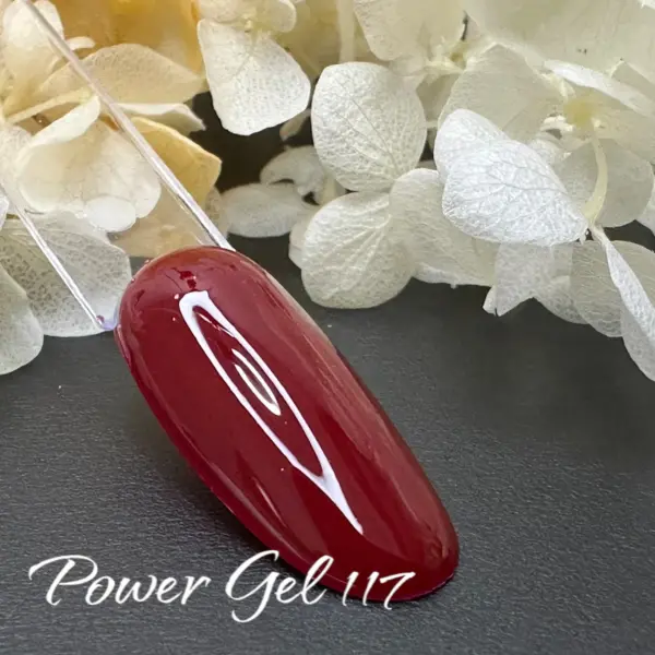 ⁦לק ג'ל Power Gel 117⁩ – תמונה ⁦2⁩