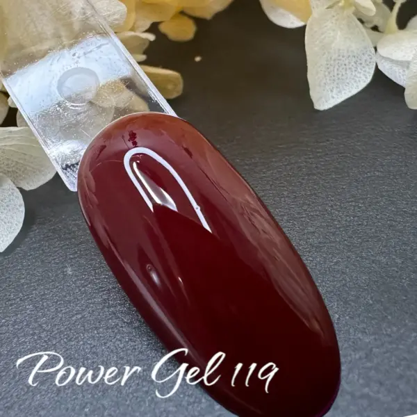 ⁦לק ג'ל Power Gel 119⁩ – תמונה ⁦3⁩