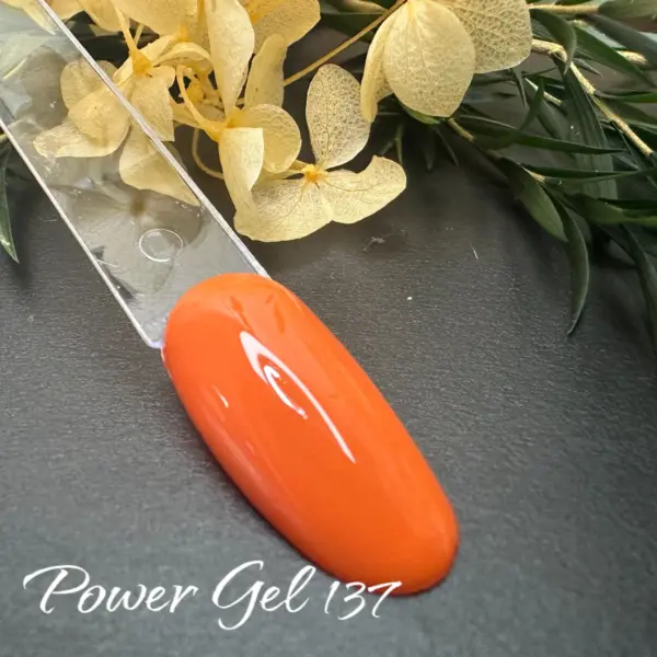 ⁦לק ג'ל Power Gel 137⁩ – תמונה ⁦2⁩